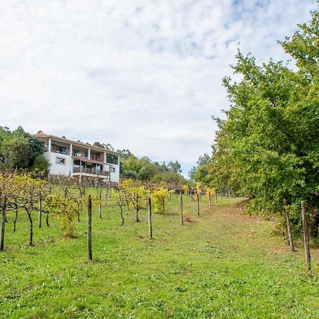 Quinta Da Quinta Daire Vieira do Minho Dış mekan fotoğraf