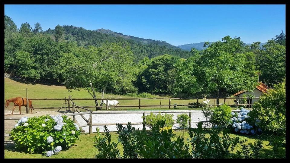 Quinta Da Quinta Daire Vieira do Minho Dış mekan fotoğraf