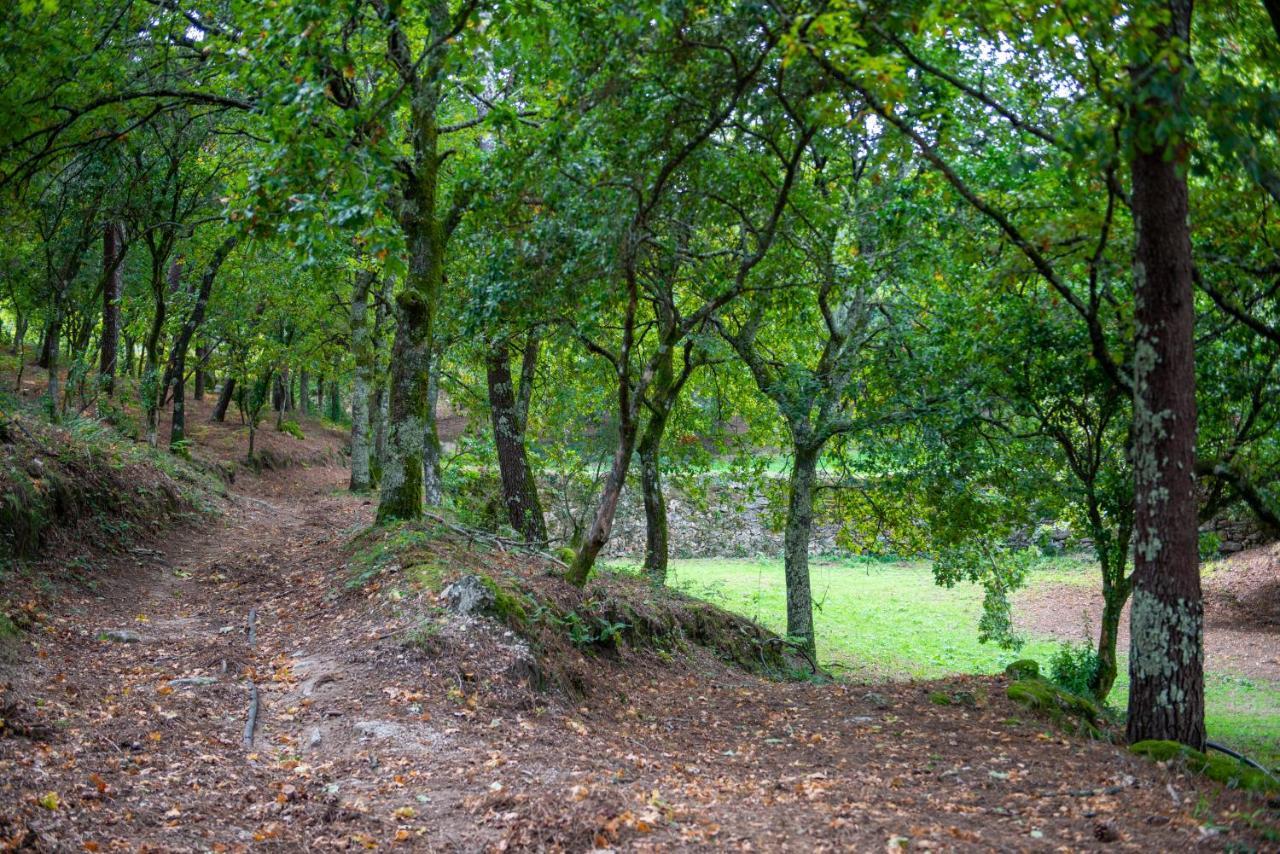 Quinta Da Quinta Daire Vieira do Minho Dış mekan fotoğraf