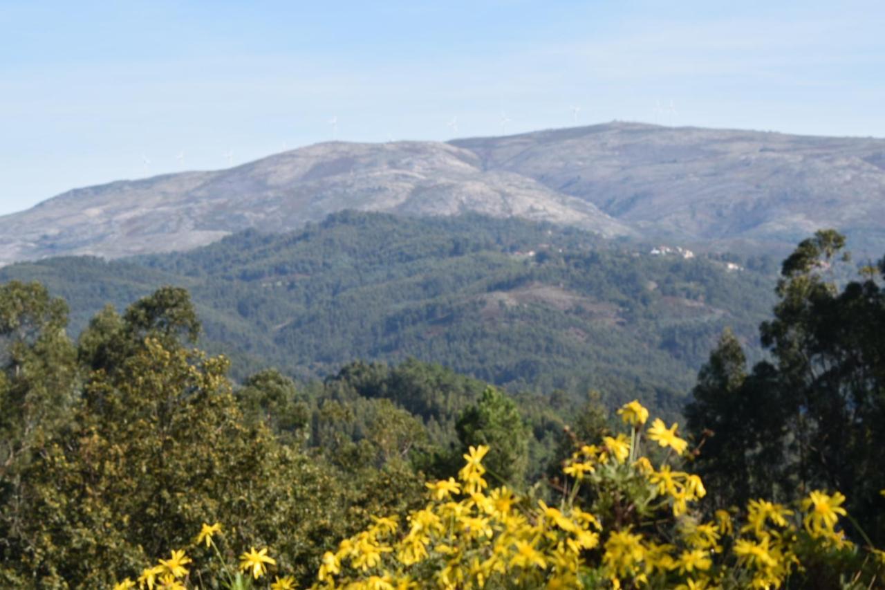 Quinta Da Quinta Daire Vieira do Minho Dış mekan fotoğraf